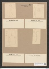 Amphora exsecta Grun. (de-Toni-Nr.: Genus 36, Species 1601) Zeichnungen Sammlung Grunow Nr. 3075 (NHMW-BOT-W0370478)